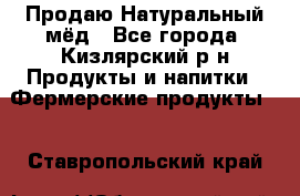 Продаю Натуральный мёд - Все города, Кизлярский р-н Продукты и напитки » Фермерские продукты   . Ставропольский край